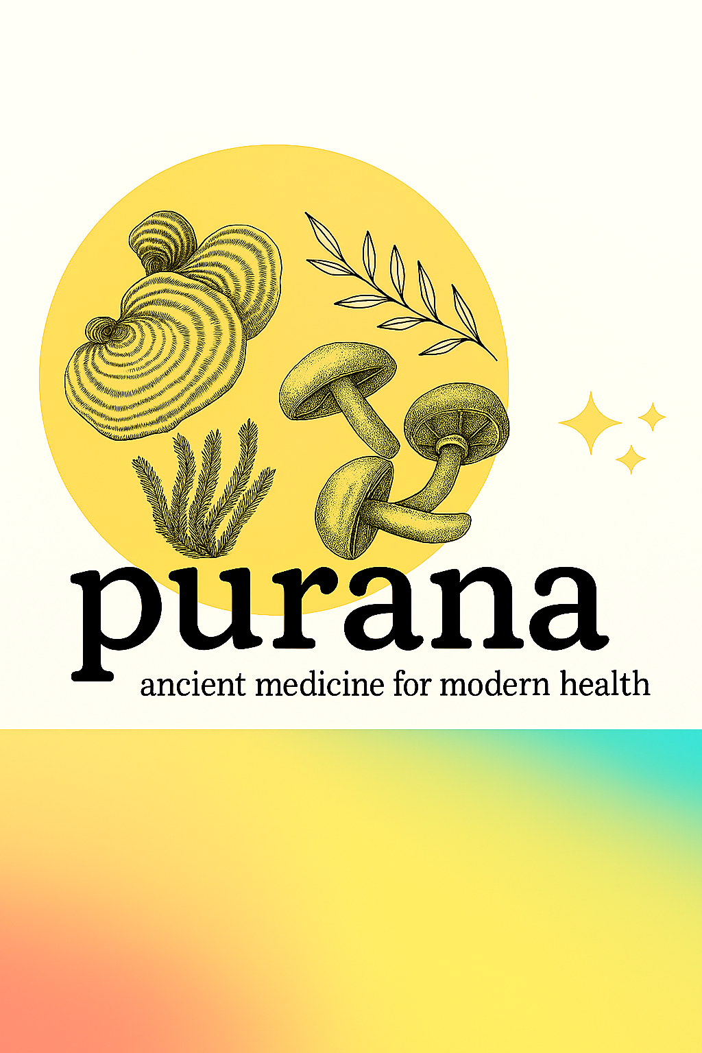 The Truth About Mushroom Extracts: A Deep Dive into Fruiting Bodies, Mycelium, and Medicinal Potency Part 2