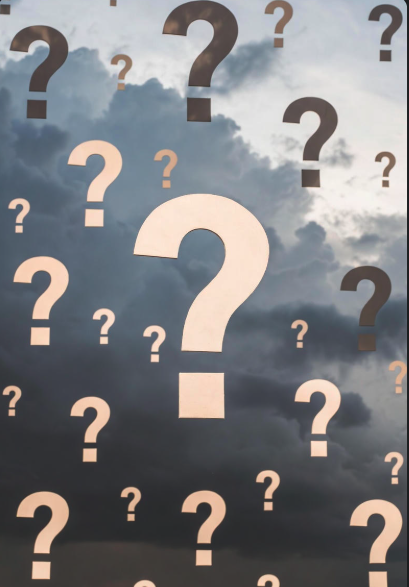 Wired (And Why) To Question Anything