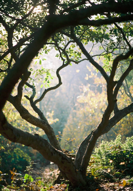 The Frustration Of Re-Learning Lessons