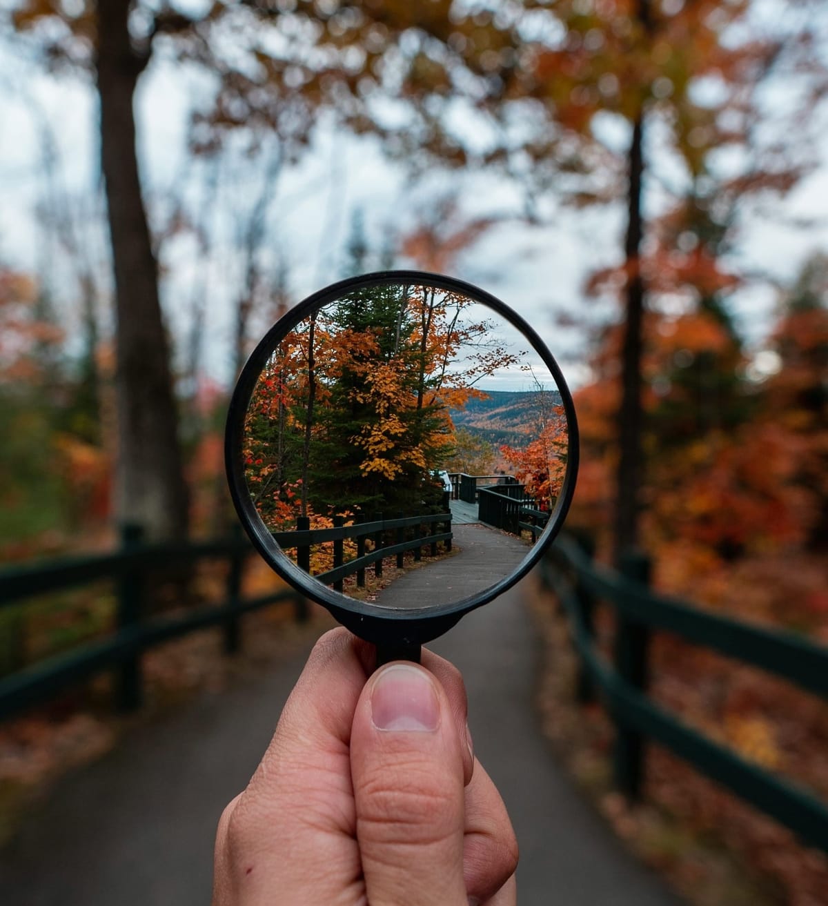 When Strategy Isn’t the Issue: The Hidden Power of Leadership Clarity