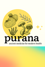 The Truth About Mushroom Extracts: A Deep Dive into Fruiting Bodies, Mycelium, and Medicinal Potency Part 4