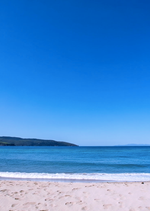 Simplicity Wins (And Wins And Wins)