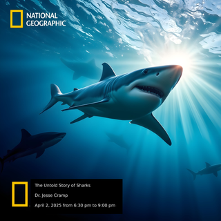 Learn More About Sharks: Guardians of Our Oceans