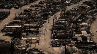 Navigating Wildfire Losses – Your Insurance Roadmap