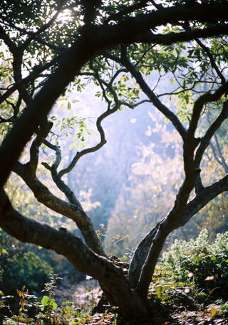 The Frustration Of Re-Learning Lessons