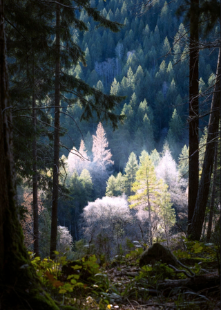 3 Intelligences Defining The Future