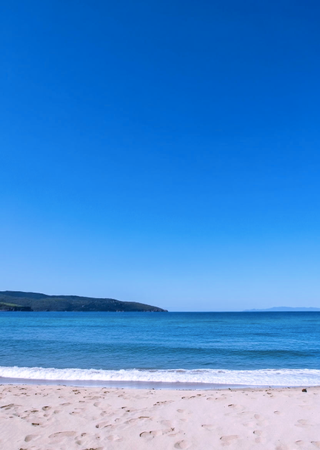 Simplicity Wins (And Wins And Wins)