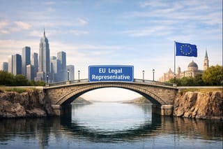 The First Warning Came Long Ago. Non-EU Companies Still Didn’t Listen