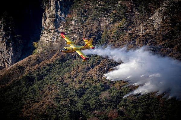 Wildfires in BC: Beyond Climate Change