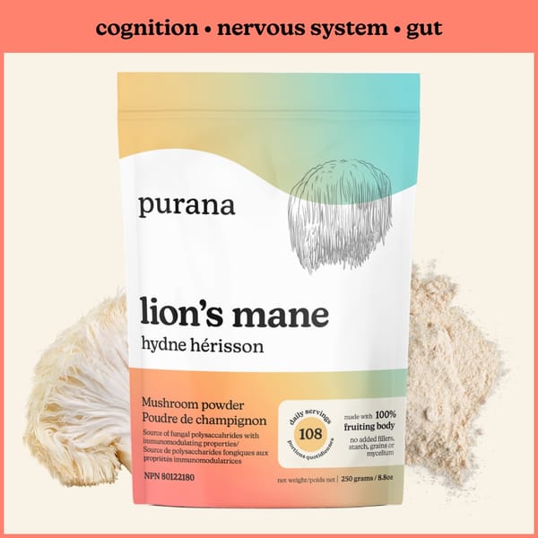 The Forms and Fractions of Lion’s Mane - Part 3