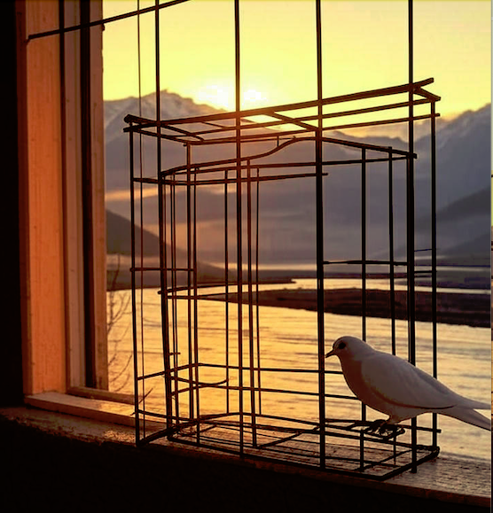 Why Freedom Needs A Cage
