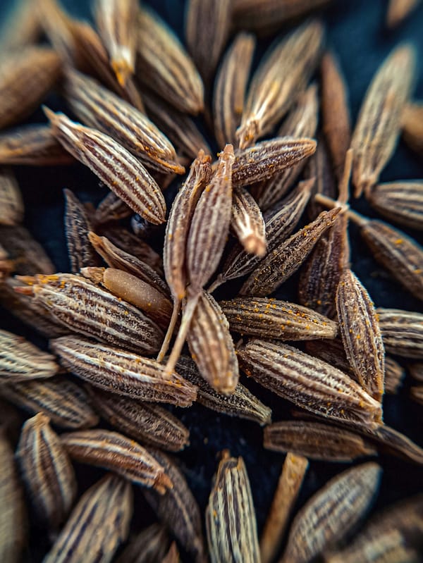 The Spice That Gets Things Moving
