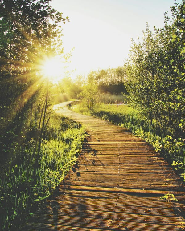 🌟 In Light of Tragedy: Choosing Compassion Over Judgment