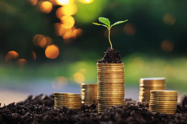 Thanksgiving in Business: Harvesting Success and Sowing Gratitude
