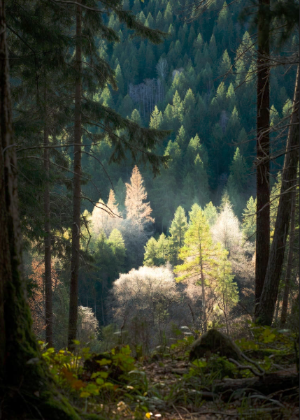 3 Intelligences Defining The Future