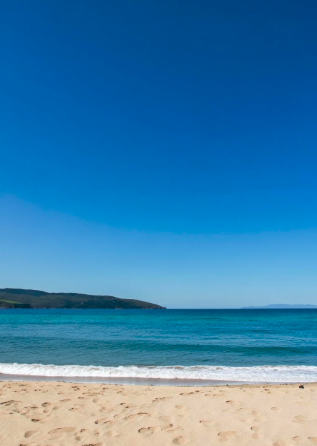 Simplicity Wins (And Wins And Wins)